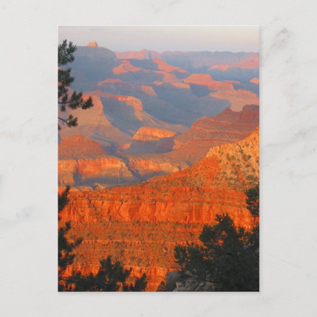 Cartão Postal Grand Canyon (Frente)