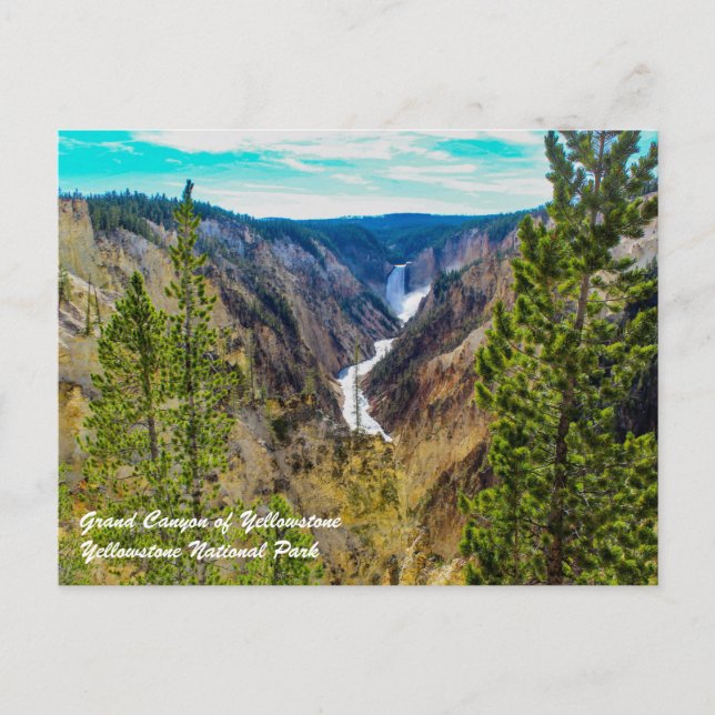 Cartão Postal Grand Canyon de Yellowstone (Frente)