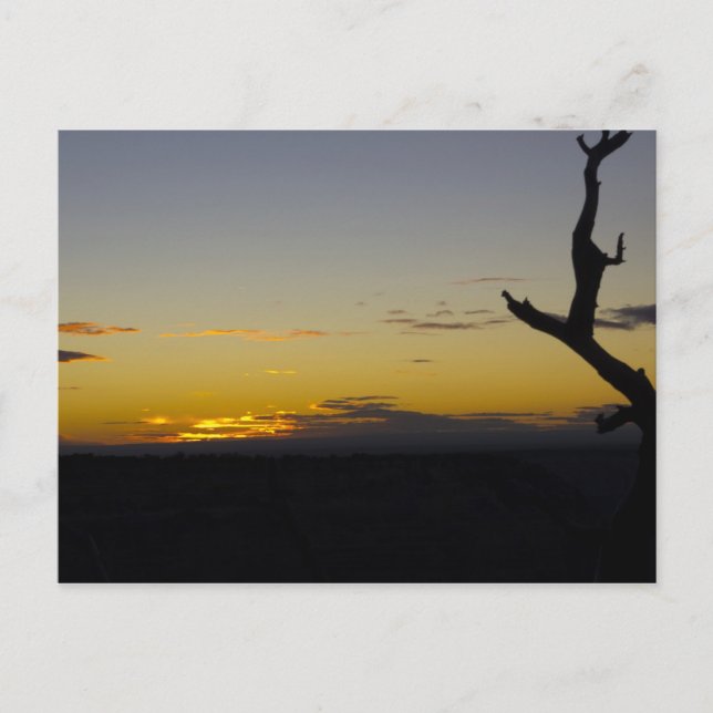 Cartão postal Grand Canyon Sunset (Frente)