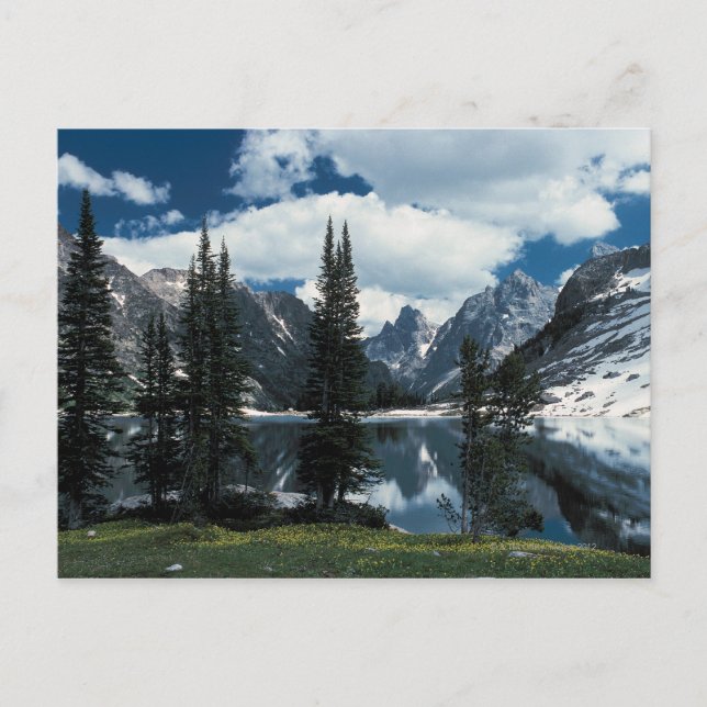 Cartão Postal Grand Teton National Park, Wyoming (Frente)