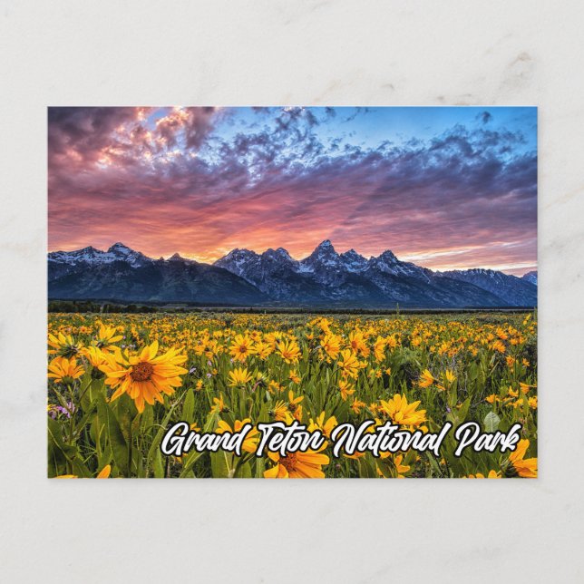 Cartão Postal Grand Teton National Park, Wyoming (Frente)