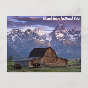 Cartão Postal Grand Teton National Park Wyoming Mounpings