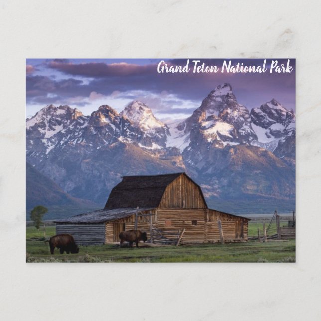 Cartão Postal Grand Teton National Park Wyoming Mounpings (Frente)