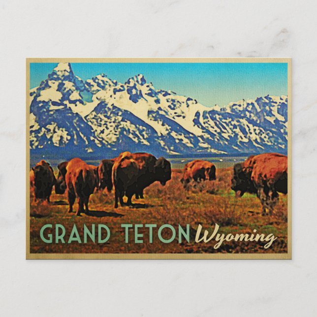 Cartão Postal Grand Teton Wyoming Buffalo (Frente)