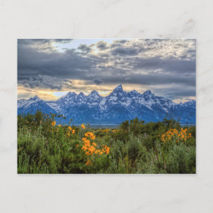 Cartão Postal Grand Tetons