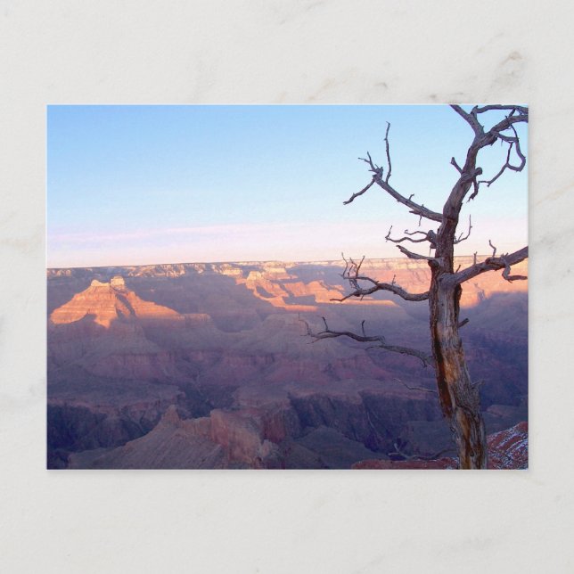 Cartão postal GrandCanyon-View#1 (Frente)