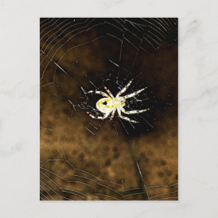 Cartão Postal Grande Aranha Assustadora na sua Web