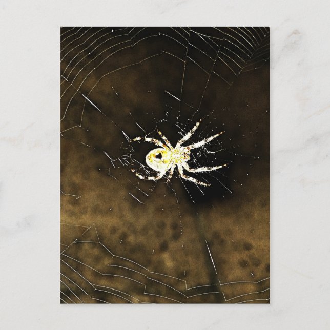 Cartão Postal Grande Aranha Assustadora na sua Web (Frente)