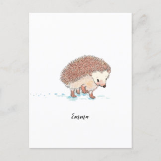 Cartão Postal Grande Aventura de Hedgehog