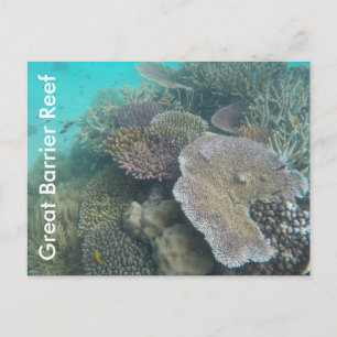Cartão Postal grande barreira de coral queensland