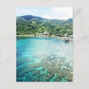 Cartão Postal Grande Cayman Coral Reef