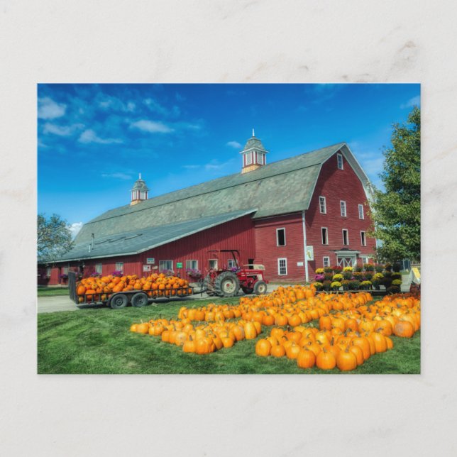 Cartão Postal Grande Celeiro Vermelho de Vermont com Abóboras (Frente)
