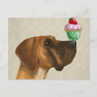 Grande Dane e Cupcake