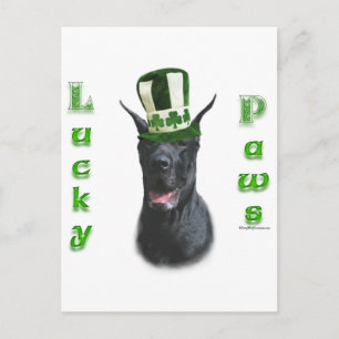 Cartão Postal Grande Dane Lucky Paws; Ruas. Dia de Patty Grande 