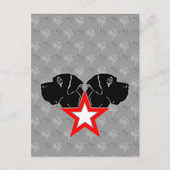 Cartão Postal Grande Dane Star Head (Frente)