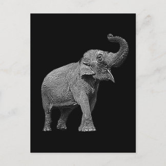 CARTÃO POSTAL GRANDE ELEFANTE ASIÁTICO - ELEFANTE INDIANO