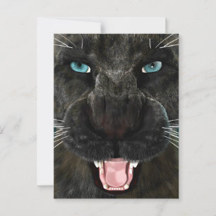 Cartão Postal Grande Gato Pantera Negra