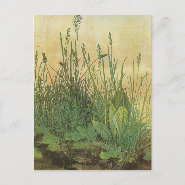 Cartão Postal Grande Peça de Turfe (Frente)