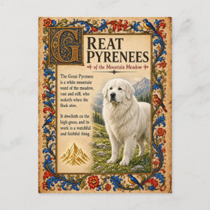 Cartão Postal Grande Pirenéus, Arte Medieval de Bestiário