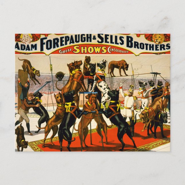 Cartão Postal Grande show de circo dinamarquês (Frente)