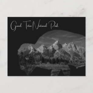 Cartão Postal Grande Teton Bison Dupla Exposição
