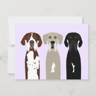 Cartão Postal Grandes cães de rua