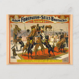 Cartão Postal Grandes Danes/Cães - Poster de Circo