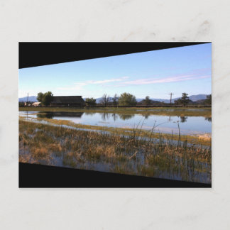 Cartão Postal Grandes Primaveras