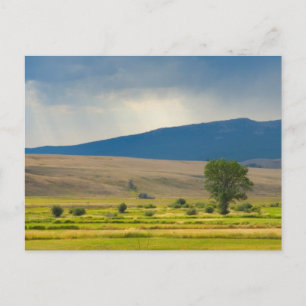 Cartão Postal Granite County Montana