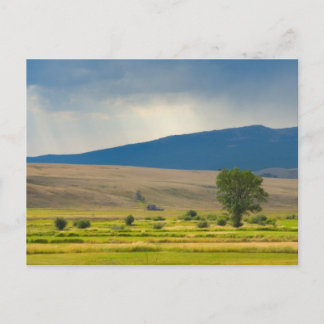 Cartão Postal Granite County Montana