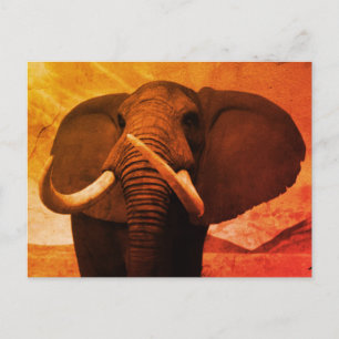 Cartão Postal Granulosa