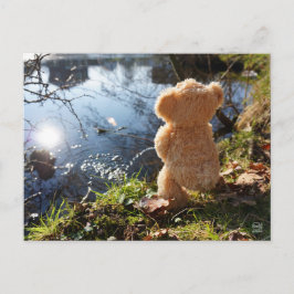 Cartão Postal Grappige beer die ondeugend plast.