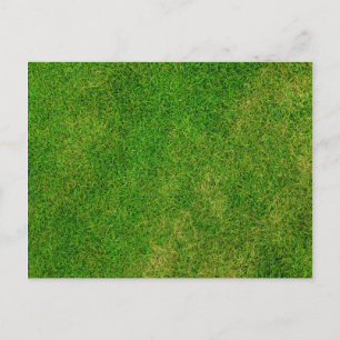 Cartão Postal Grass Lawn