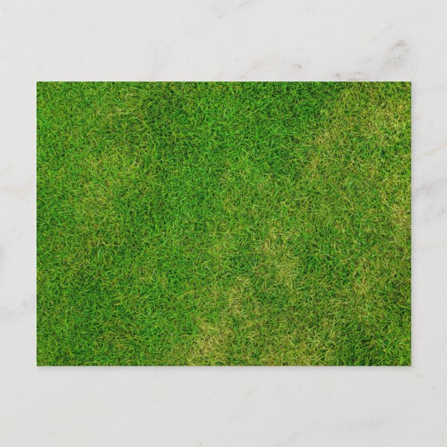 Cartão Postal Grass Lawn (Frente)