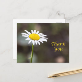 Cartão Postal Gratidão Floresce: Um Cravinho Selvagem Obrigado