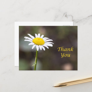 Cartão Postal Gratidão Floresce: Um Cravinho Selvagem Obrigado