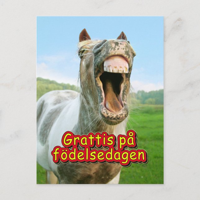 Cartão Postal Grattis på födelsedagen (Frente)