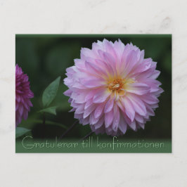 Cartão Postal Gratulerar até konfirmationen CC0503 Cartão-postal