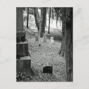 Cartão Postal Grave Esquecido