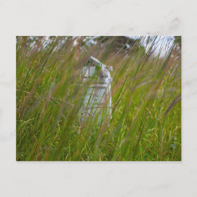 Cartão Postal Grave, Smith Cemetery State Nature Preserve, Ohio (Frente)