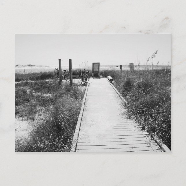 Cartão Postal GRAYTON BEACH, FLORIDA - Cartão-postal preto e bra (Frente)