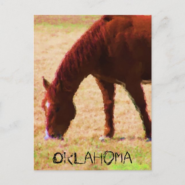 Cartão Postal Grazing (Frente)