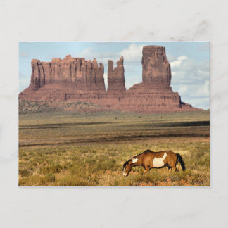 Cartão Postal Grazing de Cavalos, Monument Valley, UT