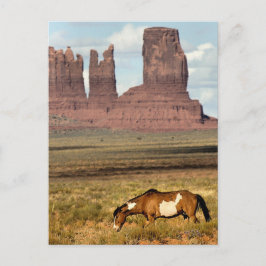 Cartão Postal Grazing de Cavalos, Monument Valley, UT