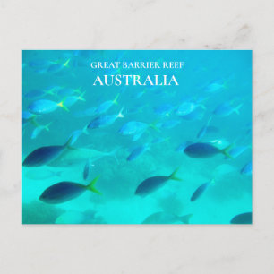Cartão Postal Great Barrier Reef Queensland Australian travel