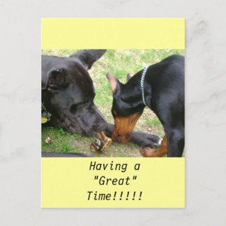 Cartão Postal Great Dane e Doberman Postam Card