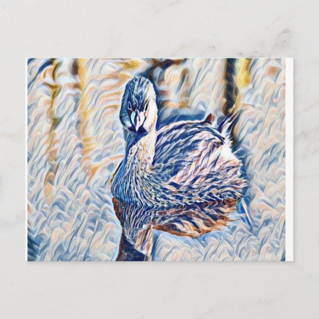 Cartão Postal Grebe (Frente)