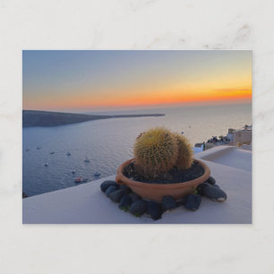 Cartão Postal Grécia Cactus Santorini Fotografia Sunset