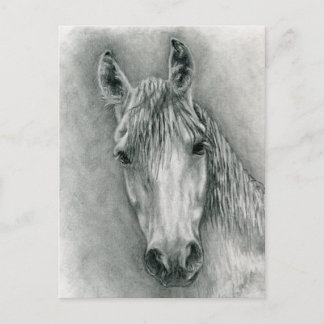 Cartão Postal Greco