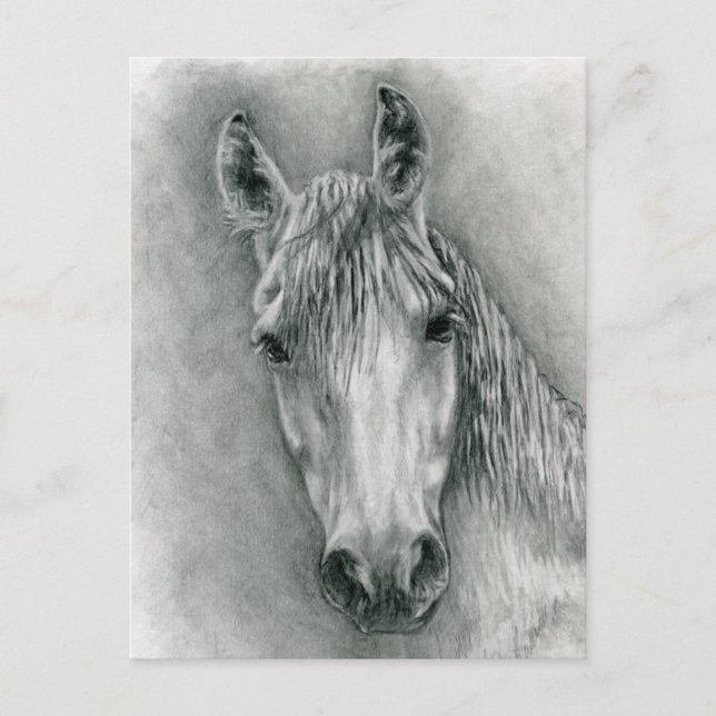 Cartão Postal Greco (Frente)